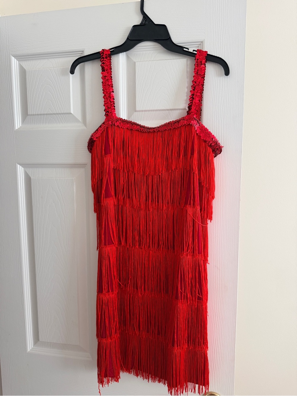 Red 1920s Flapper Costume w/Accessories